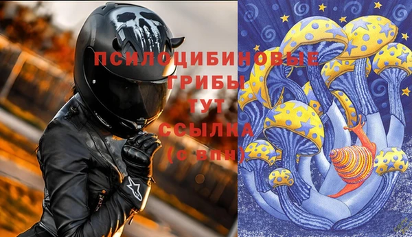 хмурый Яровое
