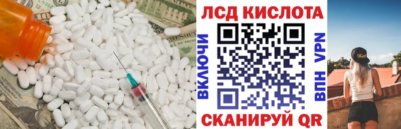 дарнет шоп  Завитинск  Лсд 25 экстази кислота 